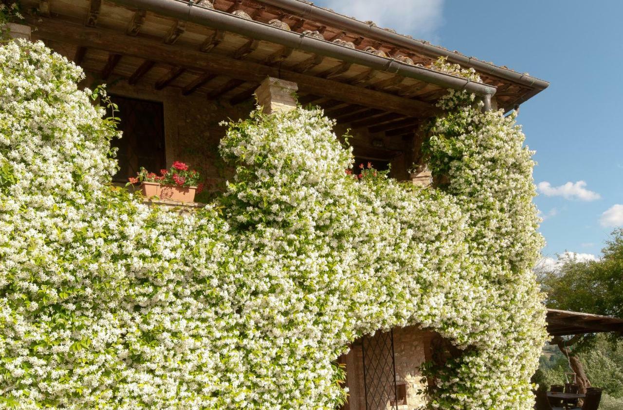 Novellina Villa Certaldo Esterno foto